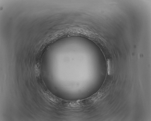 X0000074291491200609011354