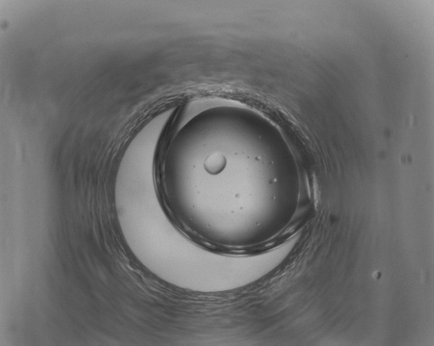 X0000074291492200609011354