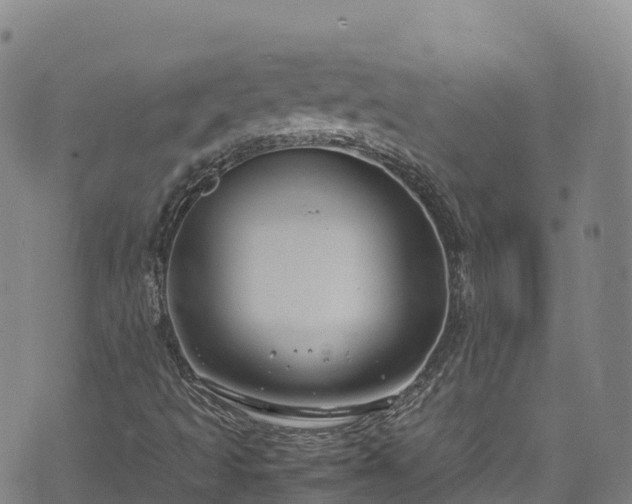 X0000074291493200609011354