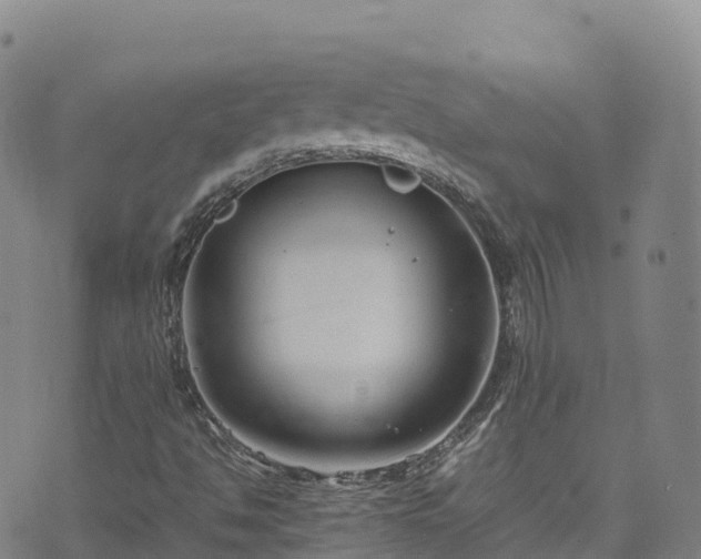 X0000074291494200609011354