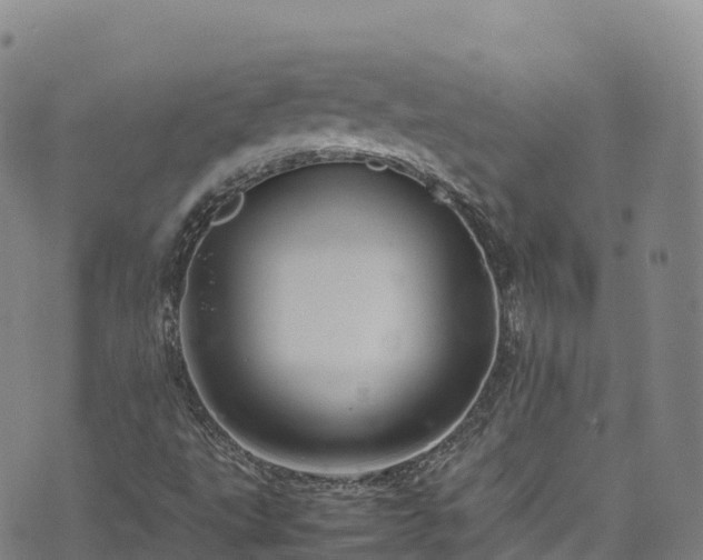 X0000074291495200609011354