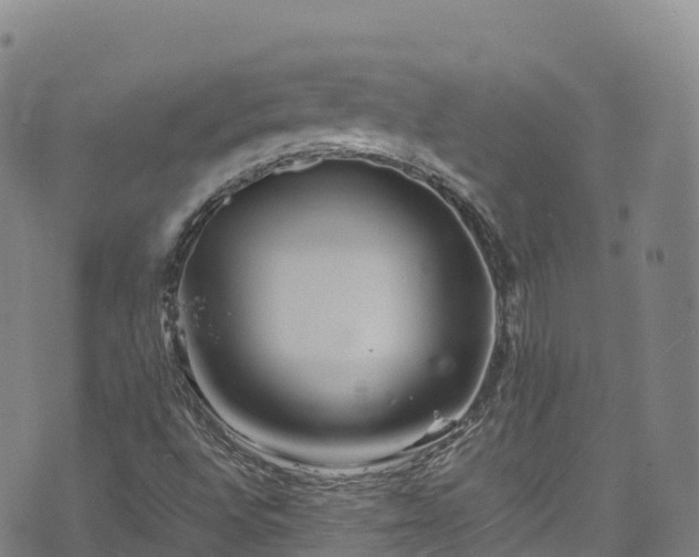 X0000074291496200609011354