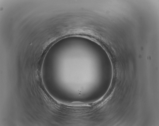 X0000074291497200609011354