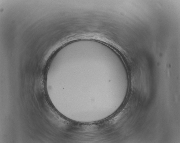 X0000074291498200609011354