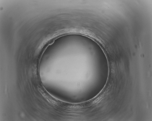 X0000074291499200609011354