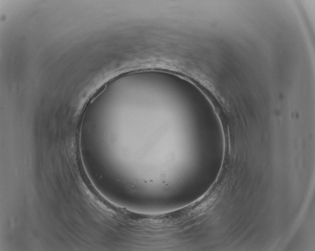 X0000074291500200609011354