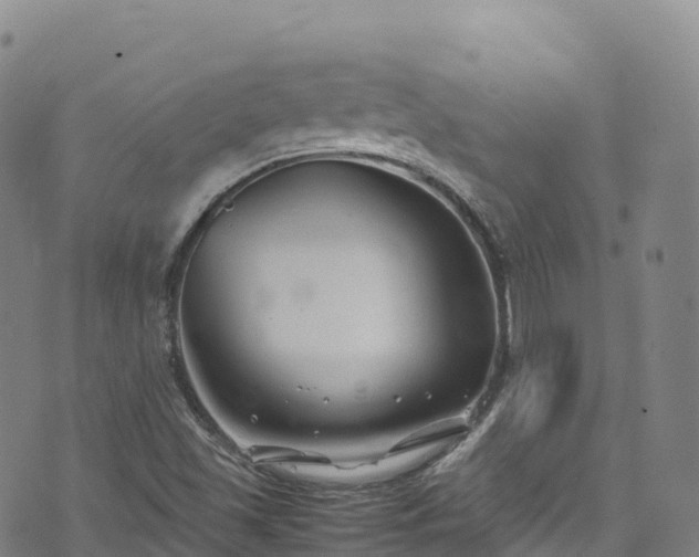 X0000074291501200609011354