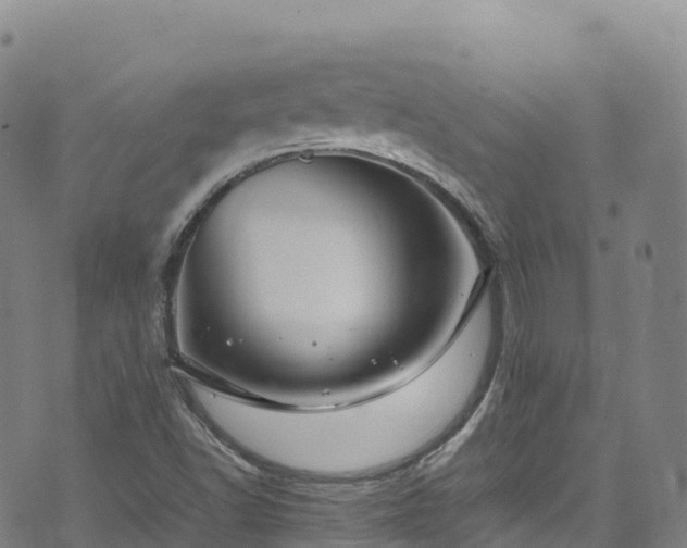 X0000074291502200609011354