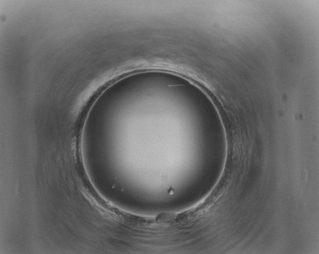 X0000074291503200609011354