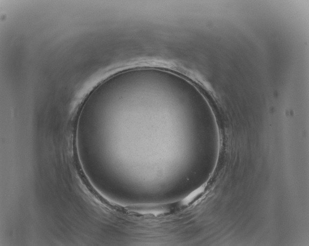 X0000074291504200609011354