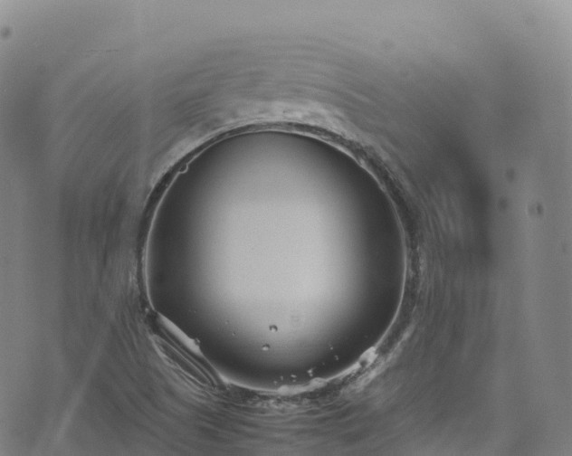 X0000074291505200609011354