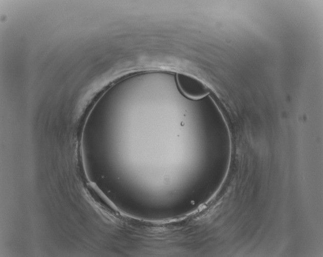 X0000074291507200609011354