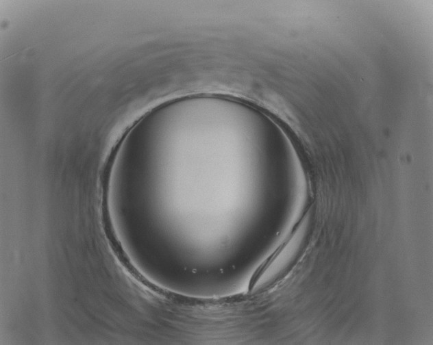 X0000074291508200609011354