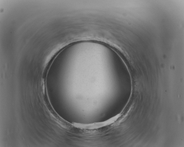 X0000074291509200609011354