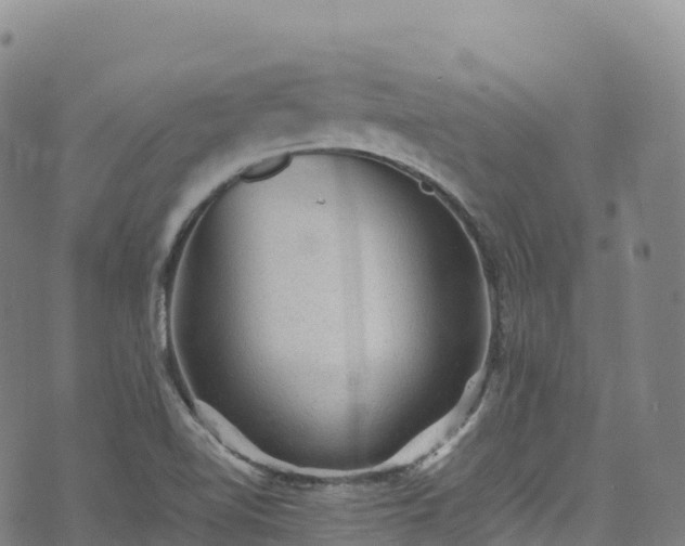 X0000074291510200609011354