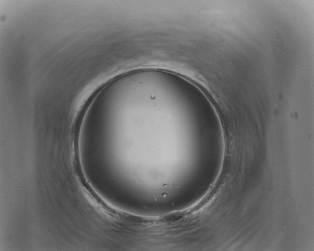 X0000074291511200609011354