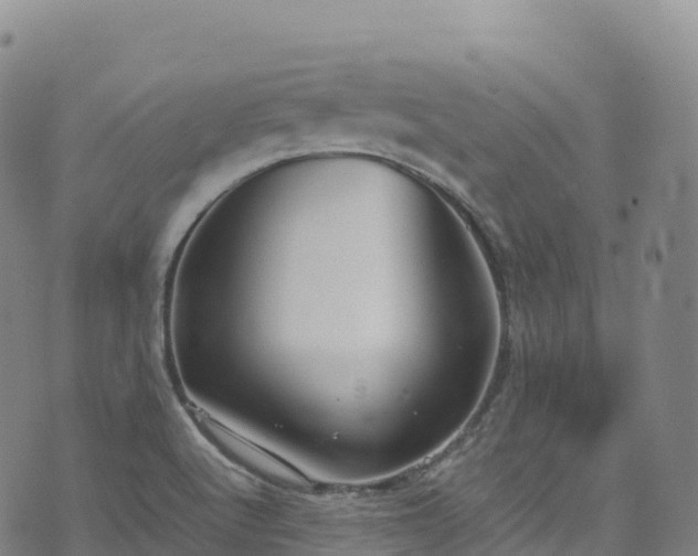 X0000074291512200609011354