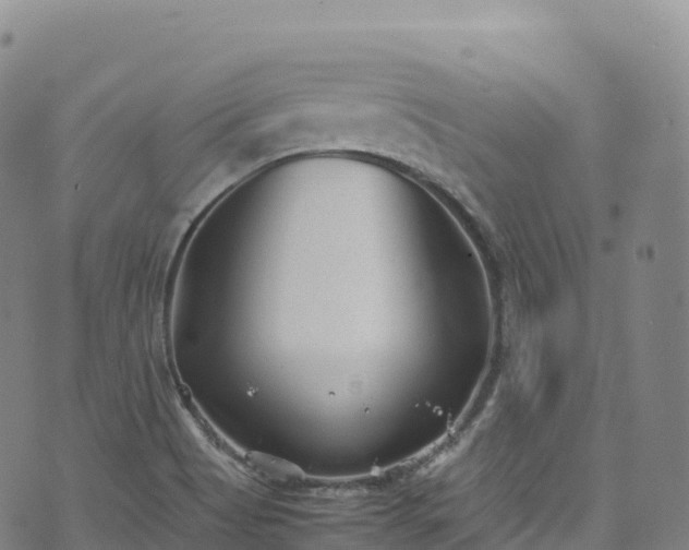 X0000074291513200609011354