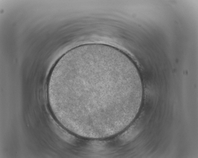 X0000074291514200609011354