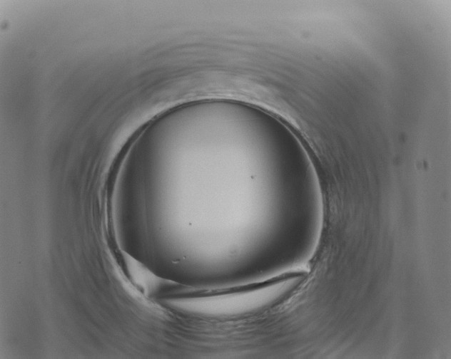 X0000074291515200609011354