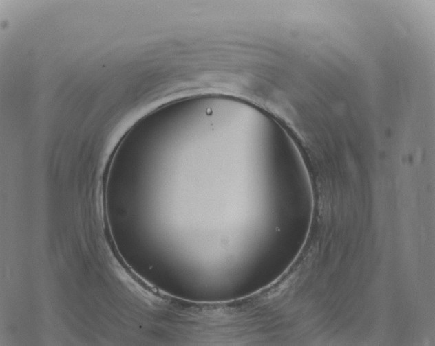 X0000074291516200609011354