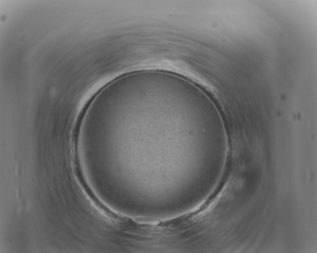 X0000074291517200609011354