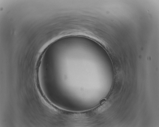 X0000074291518200609011354