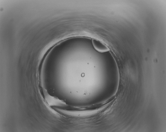 X0000074291519200609011354