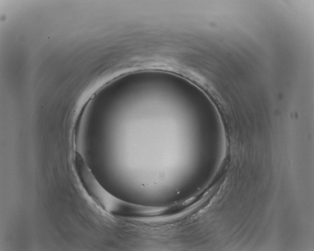 X0000074291520200609011354