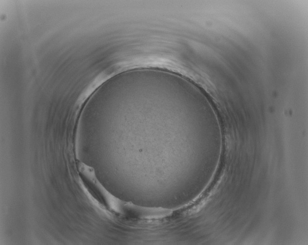 X0000074291521200609011354