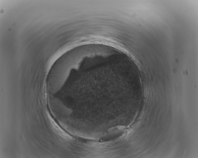 X0000074291522200609011354