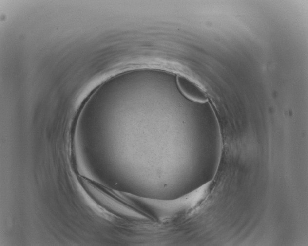 X0000074291523200609011354