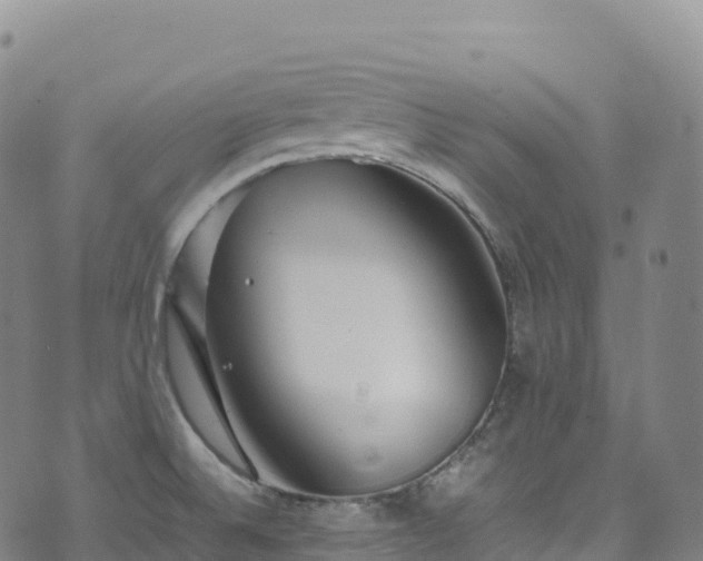 X0000074291524200609011354