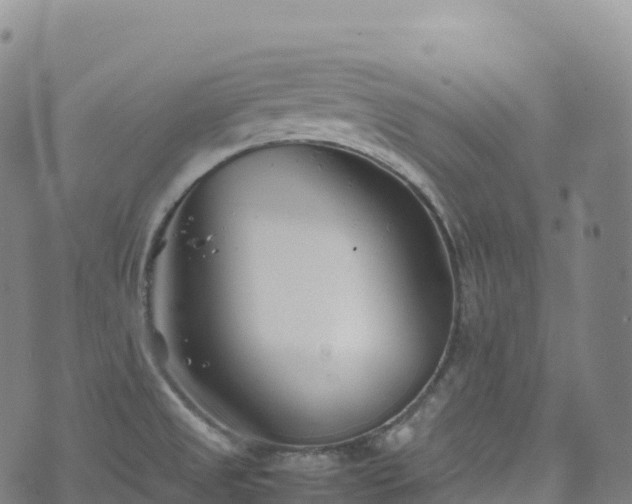 X0000074291525200609011354