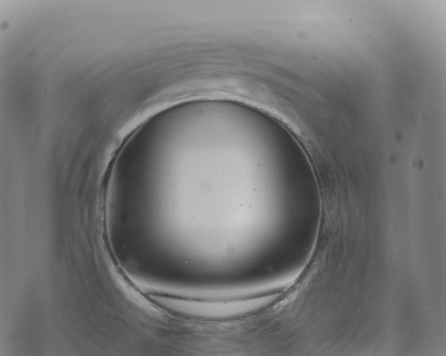 X0000074291526200609011354