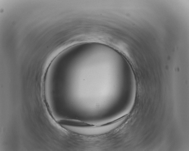 X0000074291528200609011354