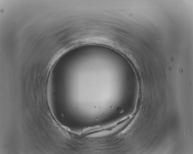 X0000074291529200609011354