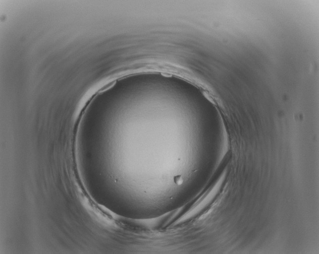 X0000074291530200609011354