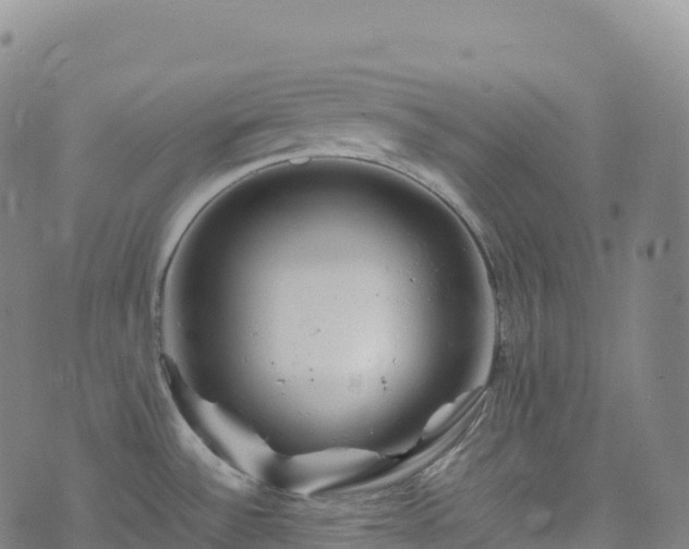 X0000074291532200609011354