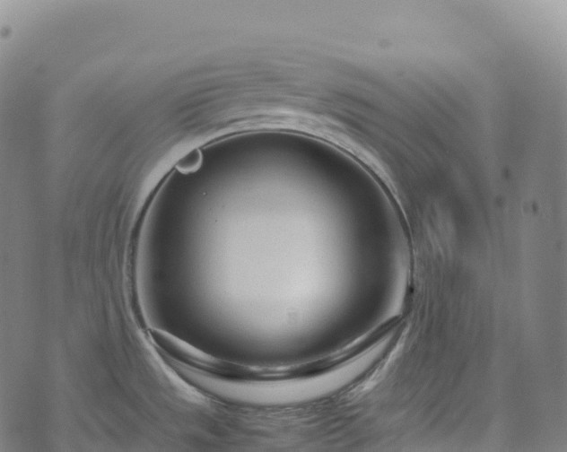 X0000074291533200609011354