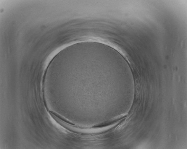 X0000074291535200609011354