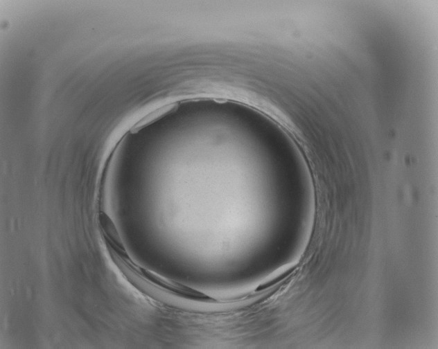 X0000074291536200609011354