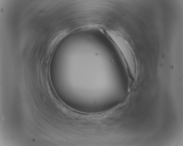 X0000074290001200609081904