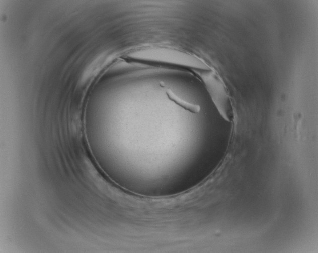 X0000074290002200609081904