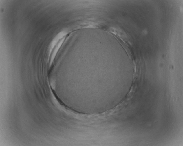 X0000074290003200609081903