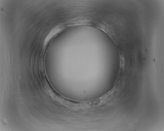 X0000074290004200609081903