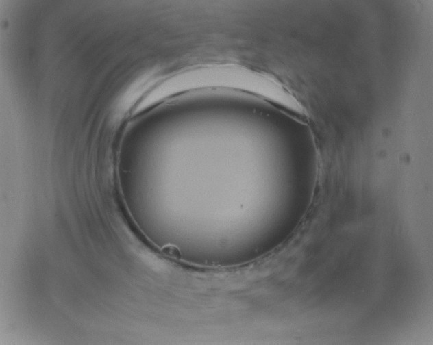 X0000074290005200609081903