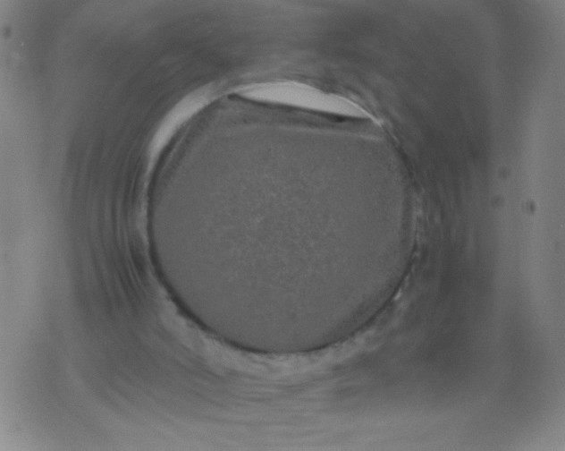 X0000074290006200609081903