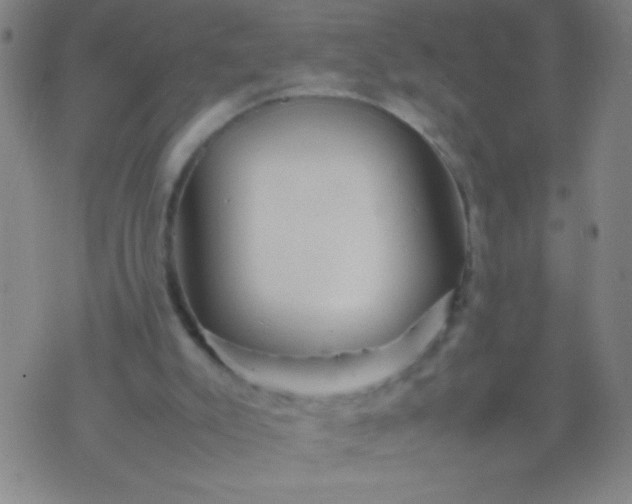 X0000074290007200609081903