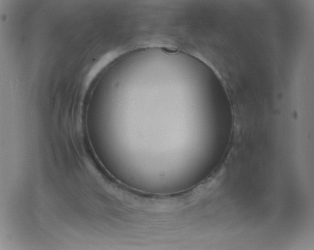 X0000074290008200609081903